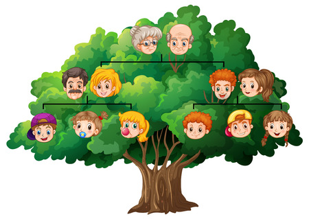 Cartoon Family Tree Cartoon Family Tree